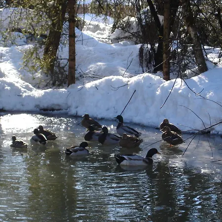 아파트 Welcome-bienvenue-добро пожаловать