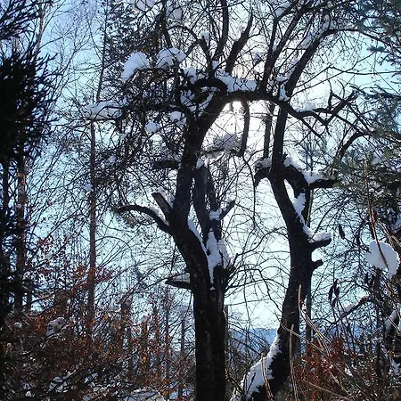 Welcome-bienvenue-добро пожаловать Lägenhet *