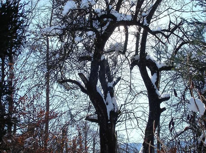 Welcome-bienvenue-добро пожаловать Apartman *