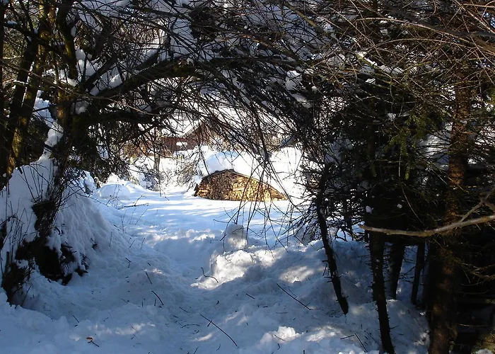 Welcome-bienvenue-добро пожаловать Apartman *